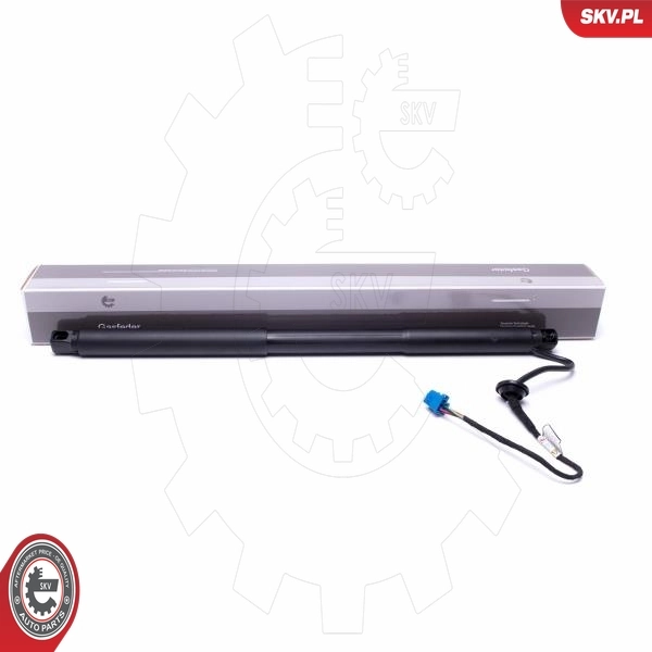 Electric Motor, tailgate